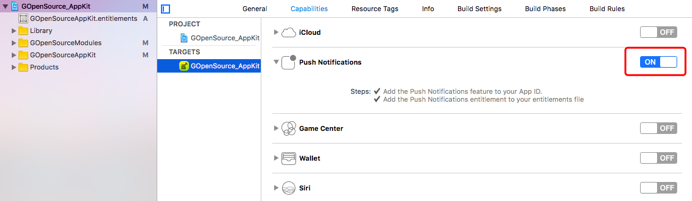 iOS Push Notification
