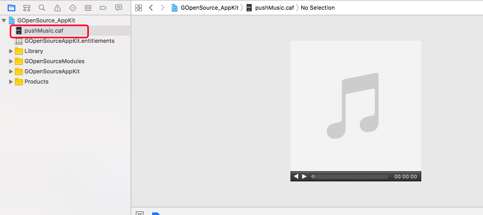 iOS Push Notification